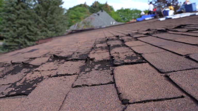 Professional Roofing Service in Tolono, IL