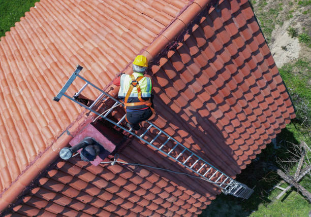 Best Roof Coating and Sealing  in Tolono, IL