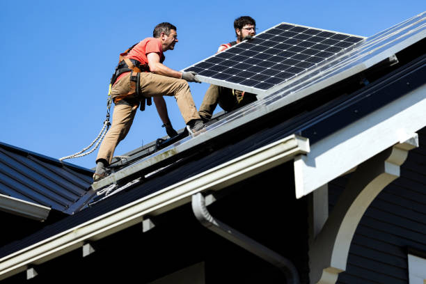 Best Storm Damage Roof Repair  in Tolono, IL