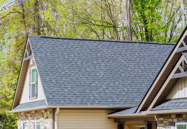 Best Roof Moss and Algae Removal  in Tolono, IL